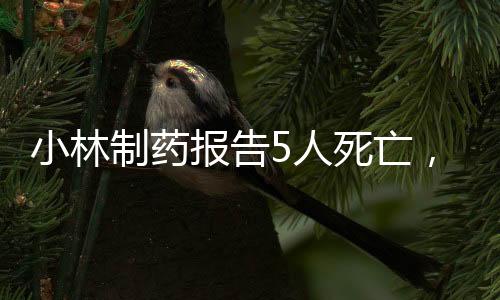 但国内也有红曲保健食品
