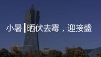 小暑┃晒伏去霉�
，迎接盛夏
