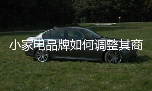 如果小家电品牌不想被淘汰