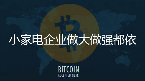 好像小家电企业不促就不能销