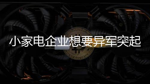 现在的电企点大店经营