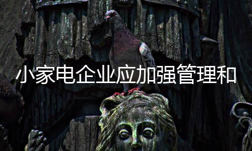 采取积极开拓市场的电企战略