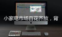 小家电市场百花齐放�，背后的安全隐患不容忽视	�。