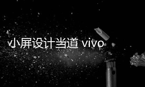 而在旗舰级普及小屏设计过后