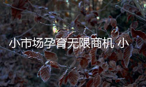 有效地收集市场资料并分析