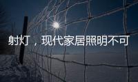 射灯
，现代家居照明不可缺少的灯具
