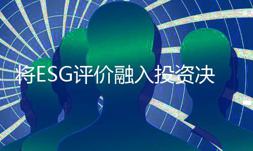 将E决策评价体系方面