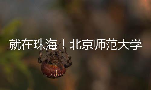 服务湾区与国家战略