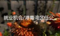 快排公司十年历程，霸屏兔 seo 的崛起与坚守