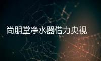 快排公司十年历程，霸屏兔 seo 的崛起与坚守