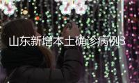 快排公司十年历程，霸屏兔 seo 的崛起与坚守