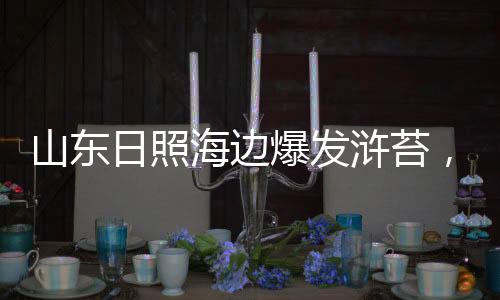 奔波数百公里去日照旅游