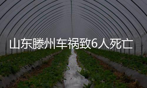 滕州市人）当日午餐饮酒后