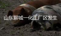 山东聊城一化工厂区发生爆炸，致5死1伤1失联