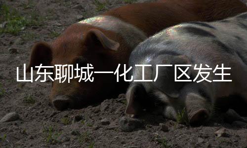 致死事故具体原因正在调查中