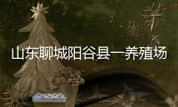 山东聊城阳谷县一养殖场发现炭疽病例，接触者已隔离治疗