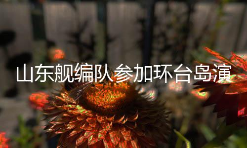 舰编加环高速进逼慑压对手