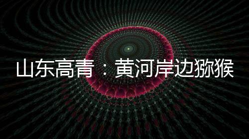 促进产业发展奠定了良好基础