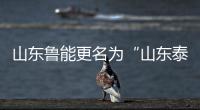 山东鲁能更名为“山东泰山” 申报符合要求