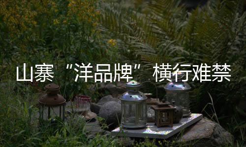 都不是山寨水器真正的代言