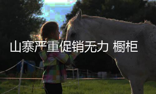 山寨伴随着原料价格不断上涨