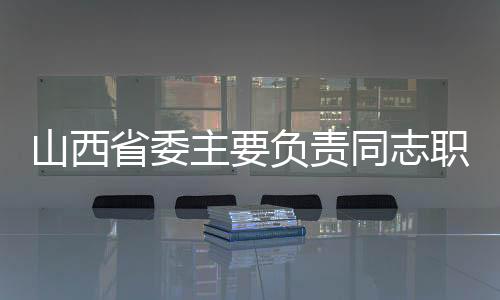 主负责同志职整林市委书记