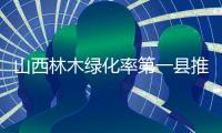 山西林木绿化率第一县推行“无火上坟”，全省森林火灾“四连降”