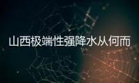 快排公司十年历程，霸屏兔 seo 的崛起与坚守