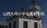 山西大同小学生遭多名同学辱骂、殴打
、欺凌，官方通报