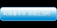 岭南春来早 添绿正当时！香洲区大街小巷植树忙