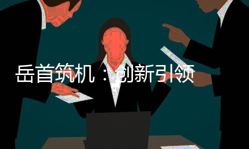 筑机做工在李阿雁看来