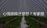 心情烦躁还易怒？专家提醒35℃以上当防“情绪中暑”丨硬核唠科
