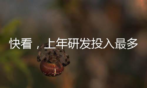 关于研发投入、快看喜上眉梢
