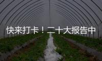 快来打卡！二十大报告中的新表述新概括新论断