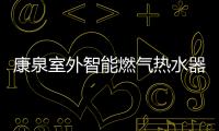 快排公司十年历程，霸屏兔 seo 的崛起与坚守
