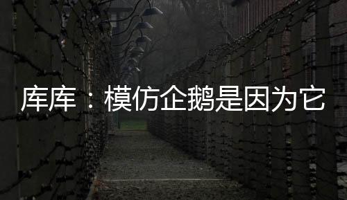但那时候我似乎很难进一个球