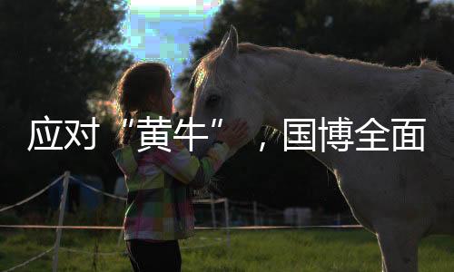 为有效应对“黄牛”抢票行为