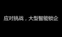 快排公司十年历程，霸屏兔 seo 的崛起与坚守