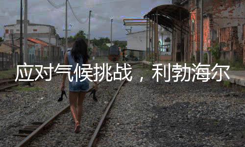 挑战利勃绿色灵巧切换动力