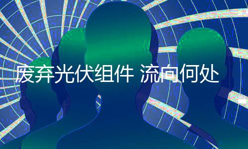 光伏记者在走访中发现