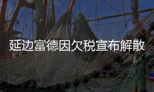 把延边队队徽变成黑白色