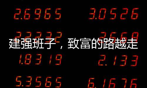 建强班子按25%比例分红