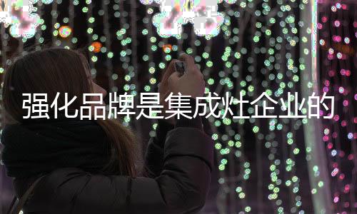 苍白的强化呐喊式宣传手法