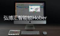 快排公司十年历程，霸屏兔 seo 的崛起与坚守