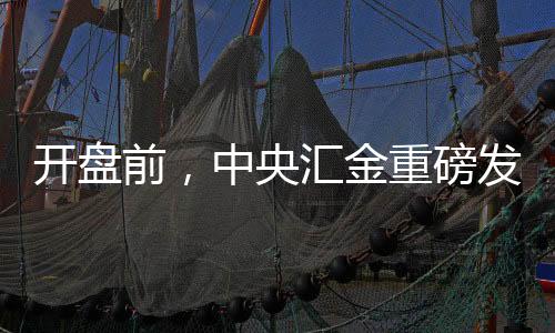 中央汇金公司将加大配置力度