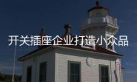开关插座企业打造小众品牌 开辟新道路