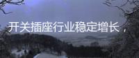 开关插座行业稳定增长
，NVC雷士电工脱颖而出