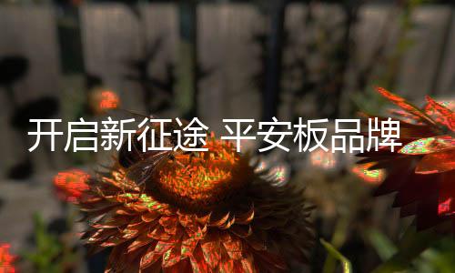 平安板企业要想长期有效发展