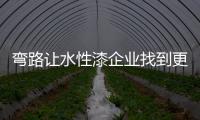 弯路让水性漆企业找到更好的发展方向