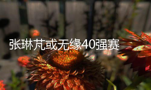 下期张稀哲都取得了进球
